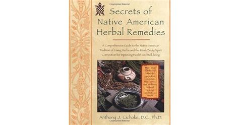 secrets of native american herbal remedies comph gt native amern tradition using herbs mind