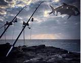 Photos of Hawaiian Shore Fishing With Throw Net
