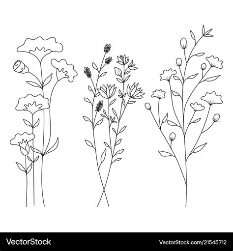Hand Drawn Wild Flowers Isolated On White Vector Image