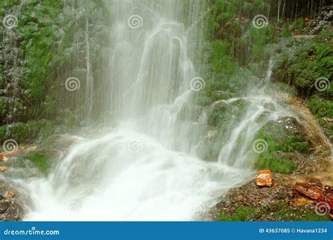 Fairytale Waterfall In The Black Forest Germany Feldberg Stock Image