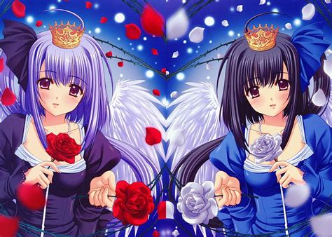 Roses Pretty Rose Bonito Wing Floral Sweet Double Nice Anime