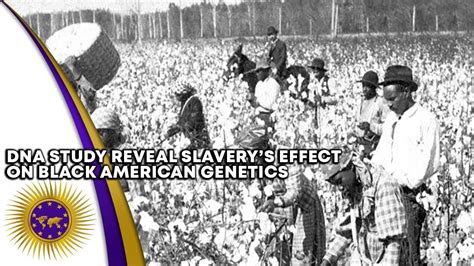 Dna Study Reveal How Slavery Altered The Genetics Of Black Americans