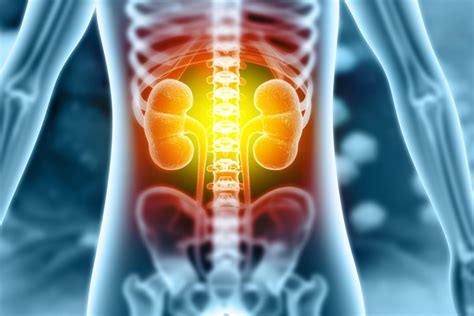 Minor Kidney Function Decline In Young Adulthood May Be Detrimental To