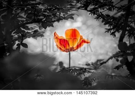 Someone who's adventurous or eccentric. Grief Images, Stock Photos & Illustrations | Bigstock