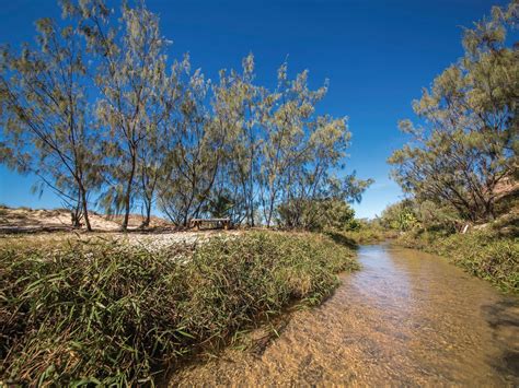 Freshwater Creek Track Byfield National Park Journey Queensland
