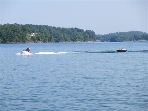 Located on the sipsey fork of the black warrior river, it covers over 21,000 acres (85 km. Jet skis welcome! - Bild von Lewis-Smith Lake & Dam ...