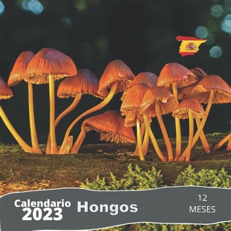 Buy Hongos Io 2023 12 Meses Tamaño 215x215 Cm Con Festivos En