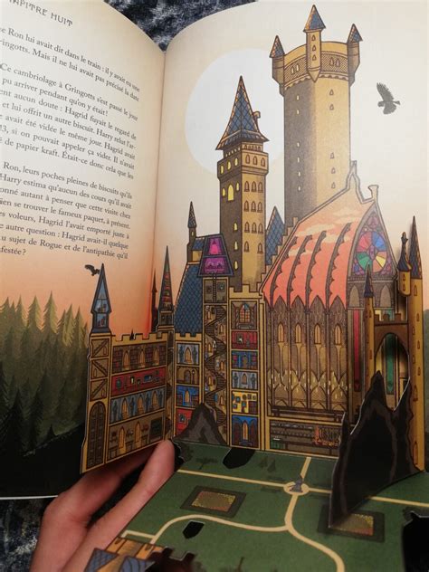 Critique Harry Potter à Lécole Des Sorciers Illustré Par Minalima