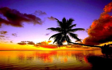55 Beach Sunset Backgrounds Bed Room Designs Design Trends