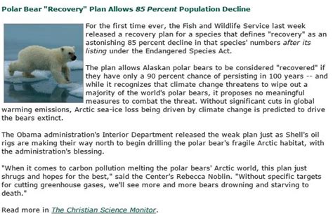 Whats The Future Of Polar Bears Studies Say They May Soon Be Extinct
