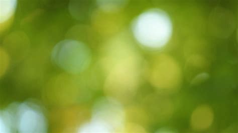 Beautiful Blurry Green And Blue Nature Background Stock Footagegreen