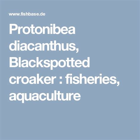 Protonibea Diacanthus Blackspotted Croaker Fisheries Aquaculture