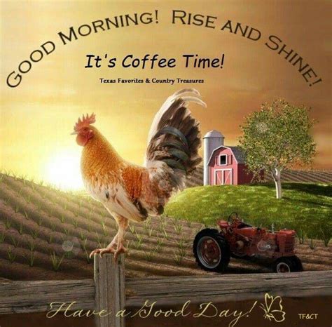 Good Morning Rise And Shine Pictures Photos And Images For Facebook