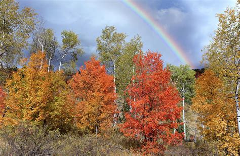 Autumn Rainbow Photograph By Kathleen Bishop Fine Art America