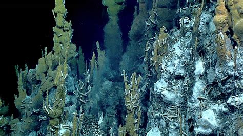 How To Visit Hydrothermal Vent In The Deep Ocean Floor Yudispurnama