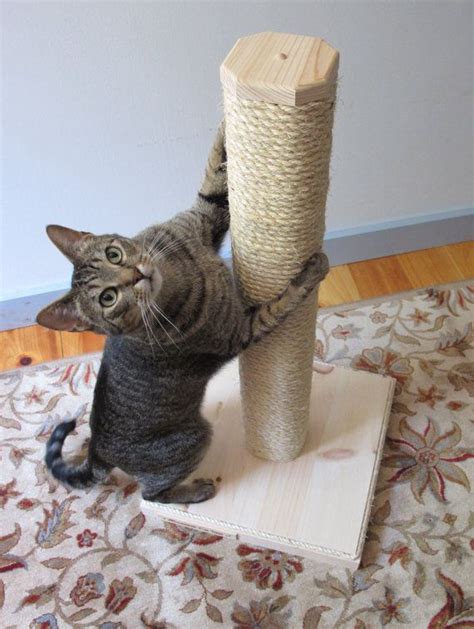 Free delivery and returns on ebay plus items for plus members. Vertical Scratching Post - Cat Scratching Post - Sisal ...
