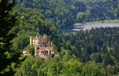 Wallpaper Forest Lake Castle Germany Bayern Germany Bavaria