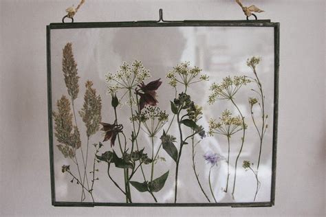 At the same time, you do not need any care, except for wiping the dust from the glass. Pressed wild flowers in glass frames (With images ...