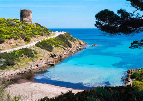 The Best Asinara National Park Parco Nazionale Asinara Tours