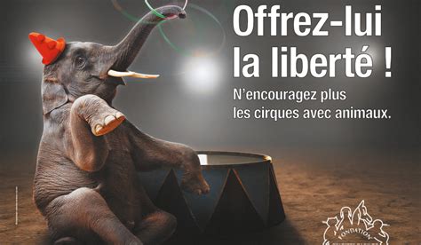 La Fbb Lance Une Campagne Pour Des Cirques Sans Animaux Fondation