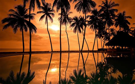 Sunset Photos Hawaii Beach Hd Desktop Wallpapers 4k Hd