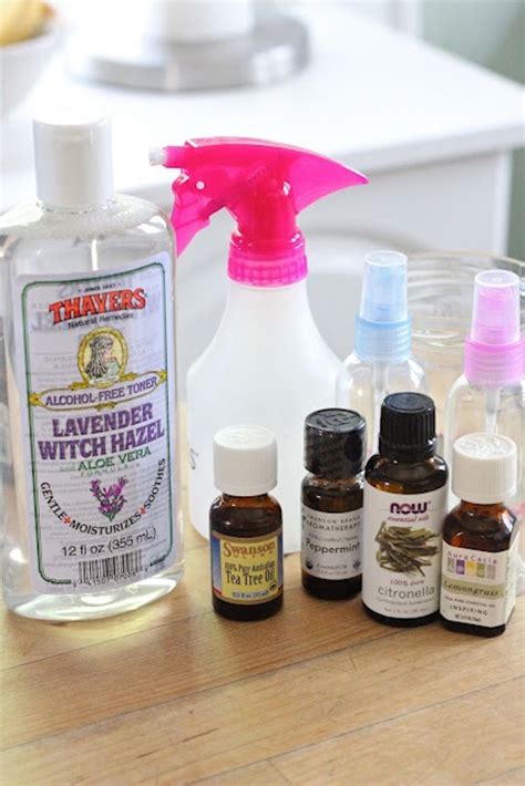 Deet is present in many commercial insect repellents and has mixed results when it comes to safety. TOP 10 Homemade Natural Bug Repellents - Top Inspired