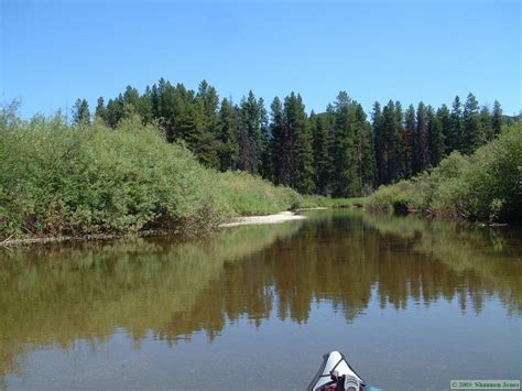 Clearwater Canoe Trail Kayaking Montana On The Beckoning