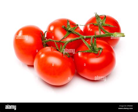 Tomatoes On The Vine Stock Photo Alamy