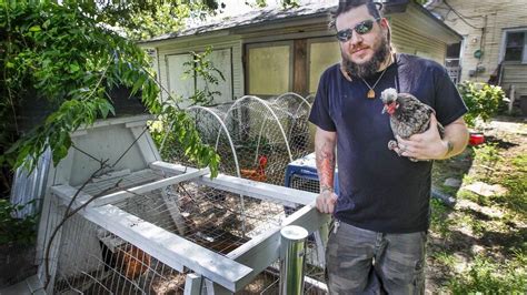 Backyard Chickens Seem To Be On The Rise The Wichita Eagle