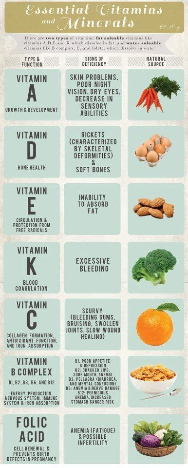 Essential Vitamins And Minerals To Include In Your Daily Life Health