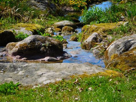 Free Images Nature Rock Creek Wilderness Flower Pond Stream