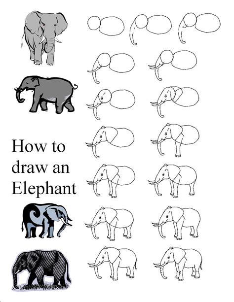 How To Draw An Elephant For Kids