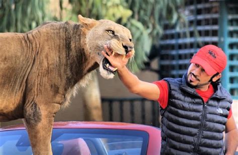 Lions Cheetahs And Selfies The Wealthy Men Of Instagram