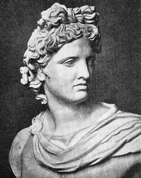 Apollo was the son of leto and zeus. Apollo Belvedere | ClipArt ETC