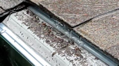 Another benefit of the leafsout micro mesh is that it more effectively prevents even the smallest granules of debris from piling up. Micro mesh gutter guards .www.supercleangutterscreen.com Gutter guards - YouTube