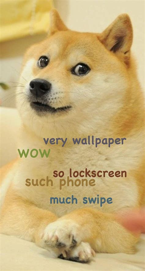 Doge Meme Hd Phone Wallpaper Pxfuel