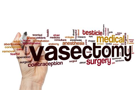 What You Should Know About Sex Post Vasectomy Z Urology