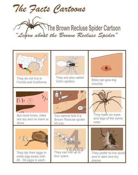The Official Brown Recluse Spider Cartoon Brown Recluse Spider