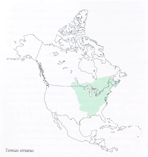 Tamias Striatus Range Map Eastern Chipmunk