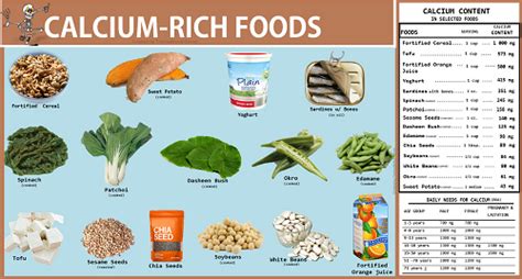 This food list shows the calcium content of typical serving sizes for dairy products, vegetables, fruits, nuts, legumes, grains and more. Difference Between Vitamin D and Calcium | Difference Between