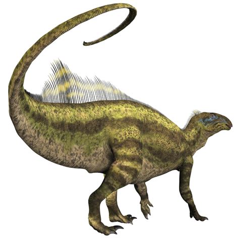 Tenontosaurus Was An Ornithopod Herbivorous Dinosaur That Lived During The Cretaceous Period Of