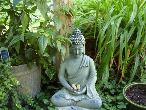 Buddha Garden Wallpapers Top Free Buddha Garden Backgrounds