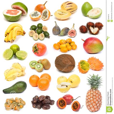 Tous Les Noms De Fruits