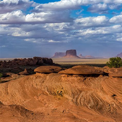 Desert Scenes Dennis Oliver Photography