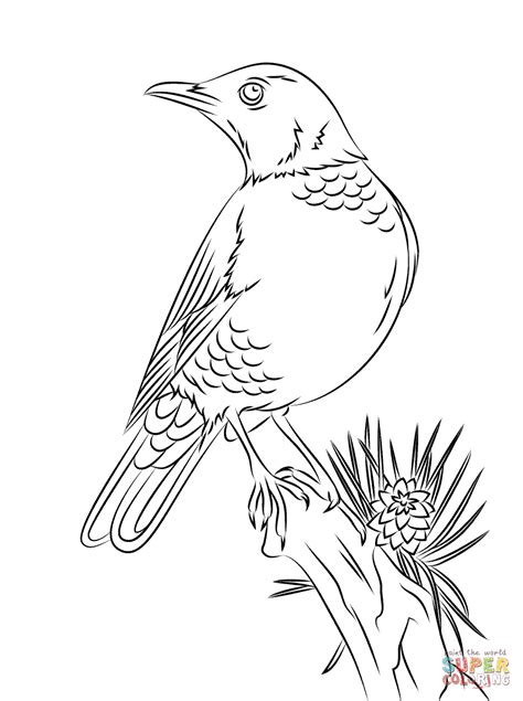 We found for you 15 pictures from the collection of american robin coloring bird coloring! Perched American Robin coloring page | Free Printable ...