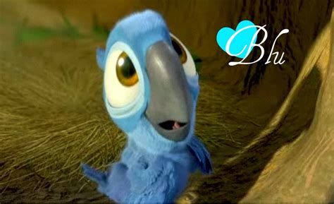 Image Baby Blupng Rio Wiki Fandom Powered By Wikia