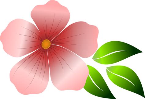 Flower Pink Spring · Free Vector Graphic On Pixabay