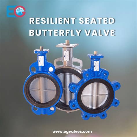 Resilient Seated Butterfly Valve Manufacturer Mixed Media By Eg Valves