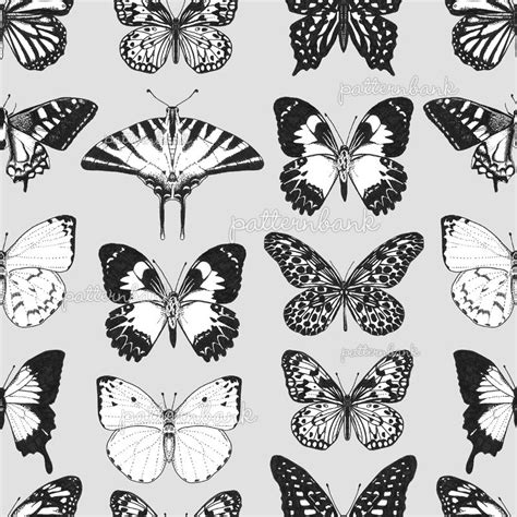 Black And White Illustrated Butterflies By Laura Hickman Seamless