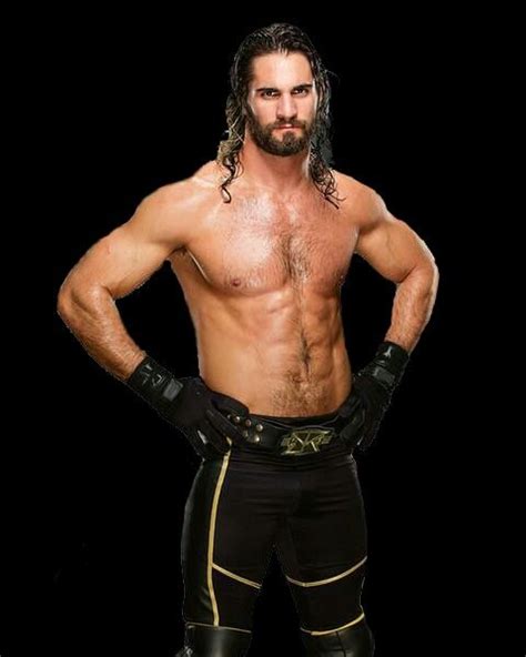 Pin On Seth Rollins Ignite The Will Stoke The Flame Burn It Down